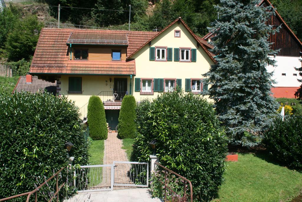 Dani`s Ferienwohnung Freiamt Exterior foto