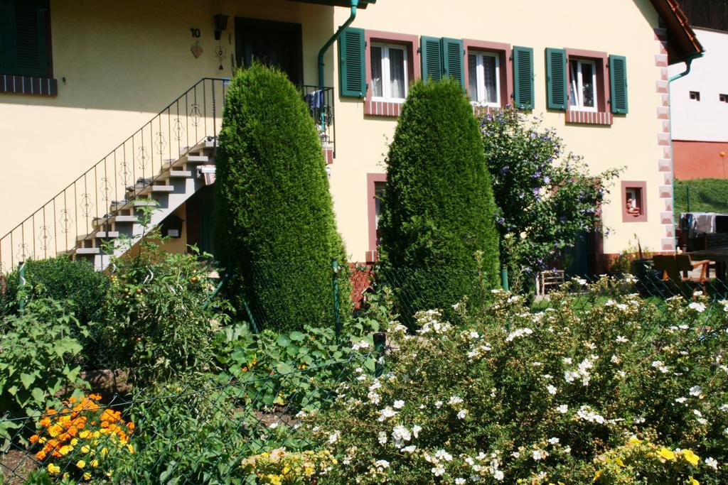 Dani`s Ferienwohnung Freiamt Exterior foto